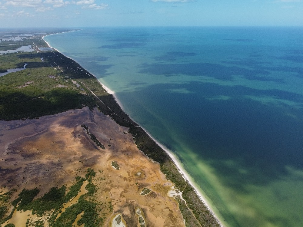 Land in Sisal below $500,000 MXN: Opportunities with Monthly Payments (2026)